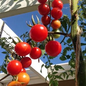 Meet your Posher, Christy